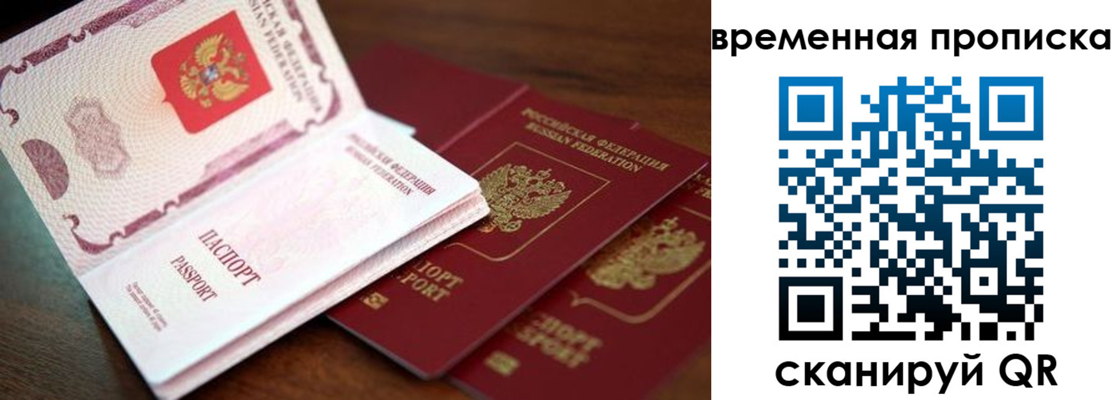 прописка гарантия в Саратовской области